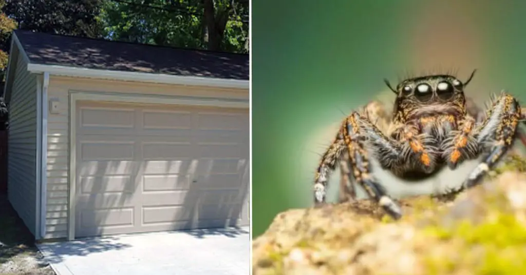 How to Keep Bugs and Spiders Out of Garage