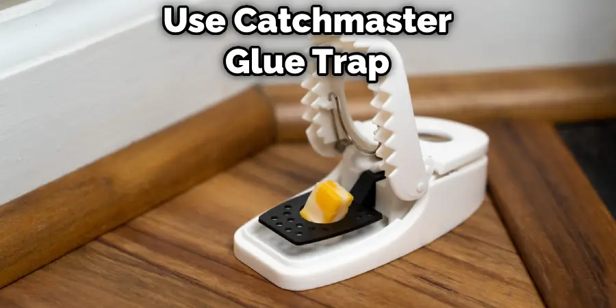 Use Catchmaster Glue Trap