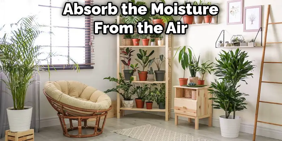 Absorb the Moisture From the Air