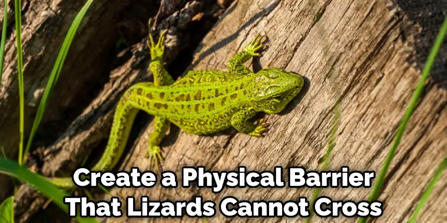 Create a Physical Barrier That Lizards Cannot Cross