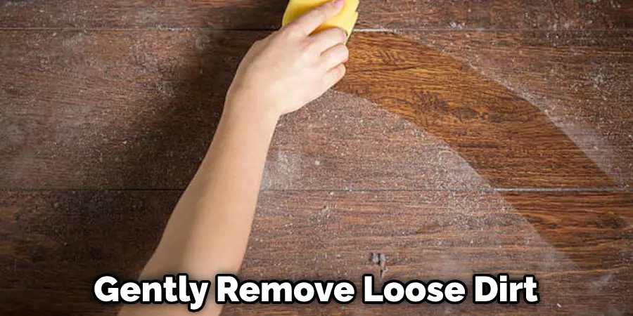 Gently Remove Loose Dirt