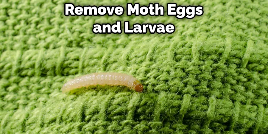 Remove Moth Eggs and Larvae