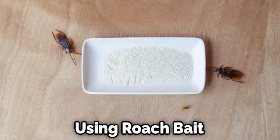 Using Roach Bait