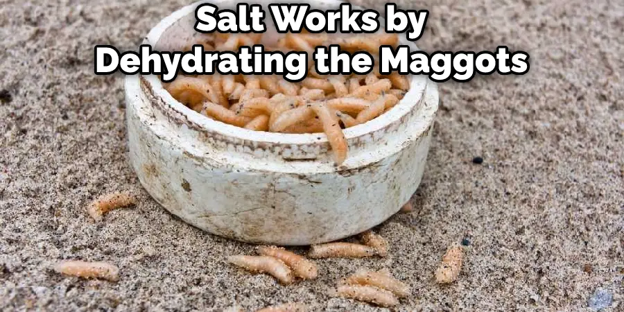 Salt Works by Dehydrating the Maggots