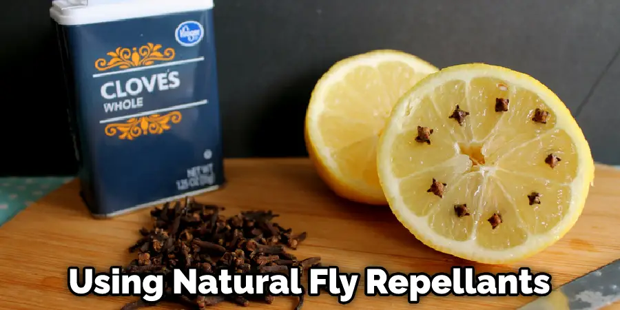 Using Natural Fly Repellants