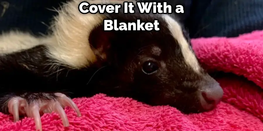 Cover It With a Blanket