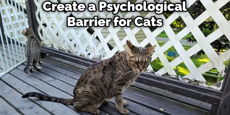 Create a Psychological Barrier for Cats