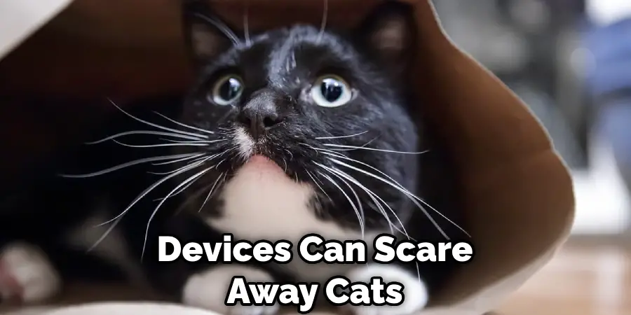 Devices Can Scare Away Cats