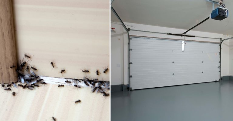 How to Keep Bugs Out of Garage at Night