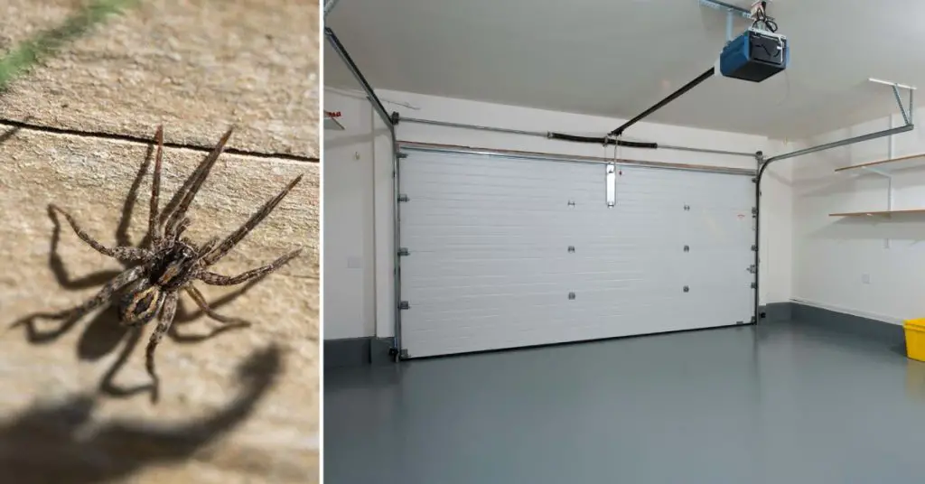 How to Keep Spiders Out of Your Garage