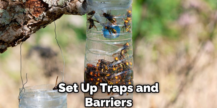 Set Up Traps and Barriers