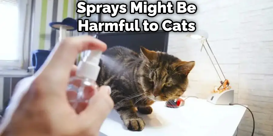 Sprays Might Be Harmful to Cats