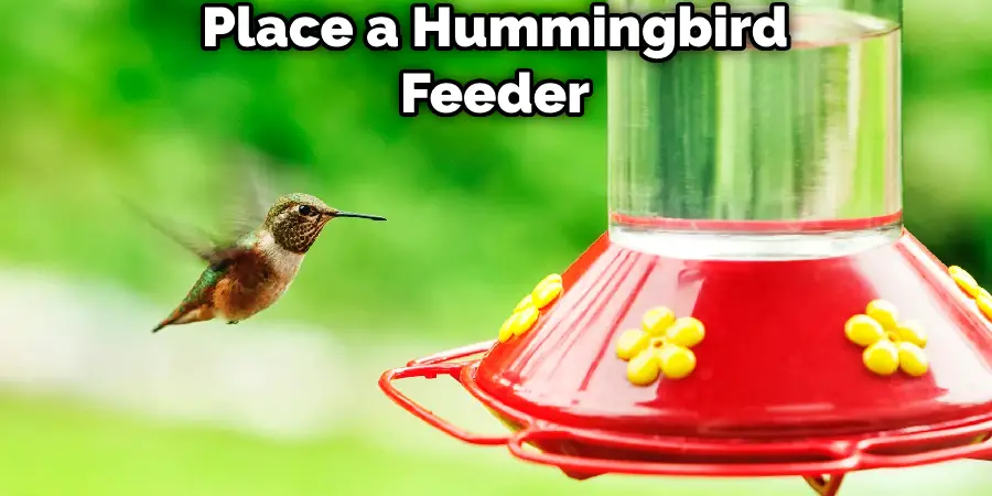 Place a Hummingbird Feeder