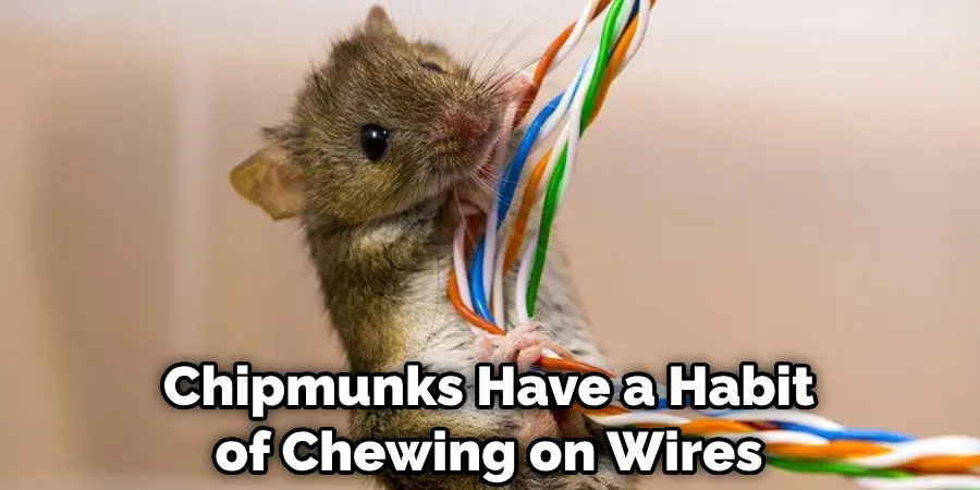 Chipmunks Have a Habit of Chewing on Wires