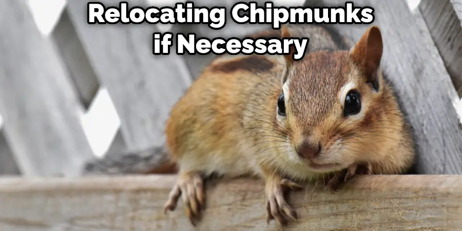 Relocating Chipmunks if Necessary