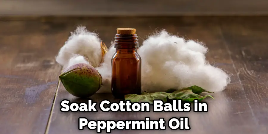 Soak Cotton Balls in Peppermint Oil