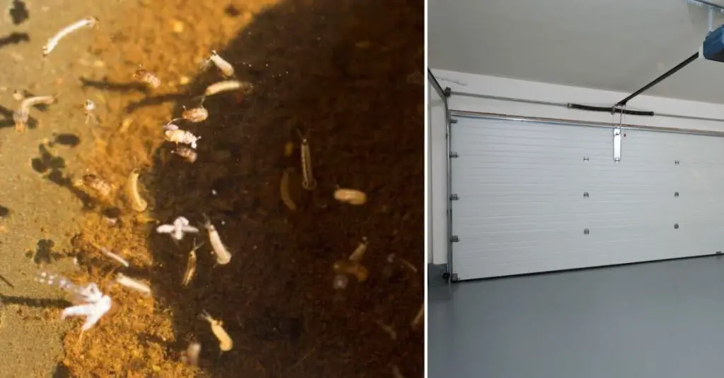 How to Keep Mosquitoes Out of Garage