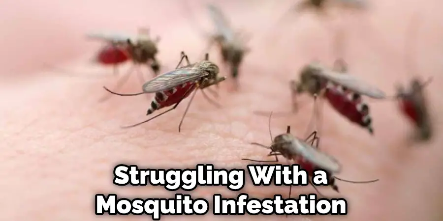 Struggling With a Mosquito Infestation