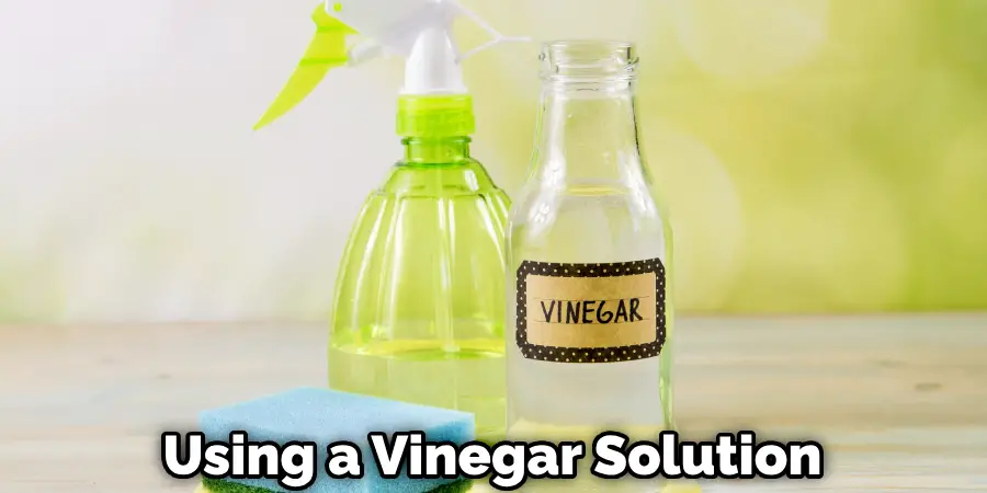 Using a Vinegar Solution