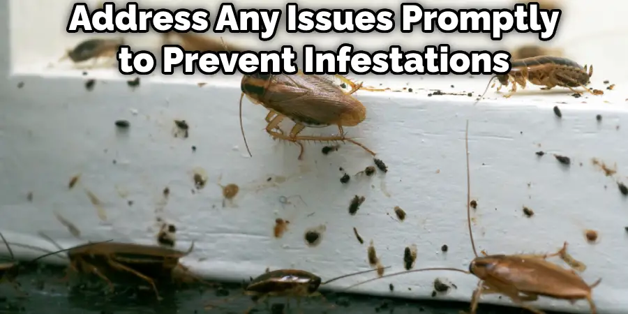 Address Any Issues Promptly to Prevent Infestations