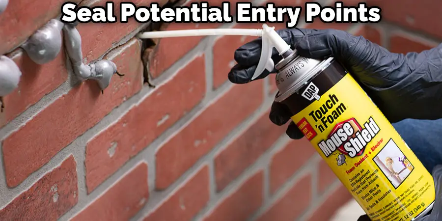 Seal Potential Entry Points