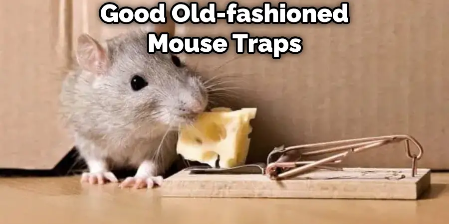 Good Old-fashioned Mouse Traps