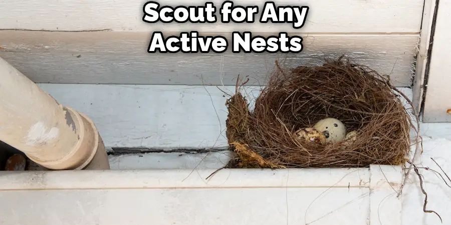 Scout for Any Active Nests